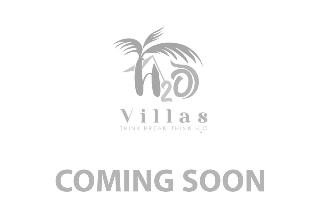 H2O Vista™
